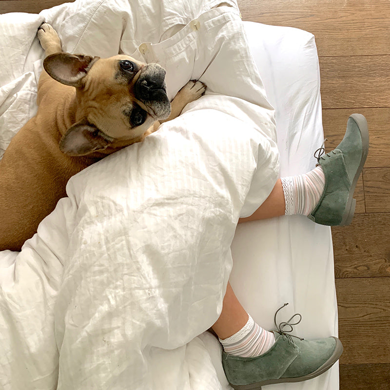 French Bulldog with sage green Tracey Neuls shoes in bed