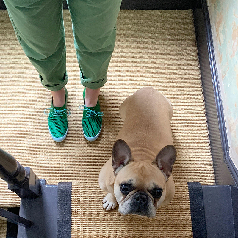 Green shoes for women in an interior shot with a french bulldog, with Tracey Neuls