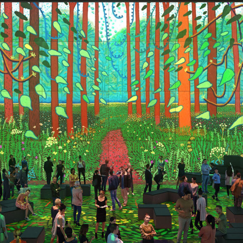 David Hockney at The Lightroom Kings Cross