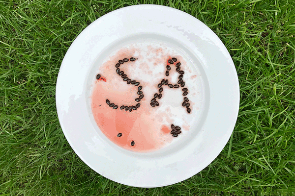 Video of plate with watermelon and watermelon pips spelling  out 'SALE ON' with smiley face