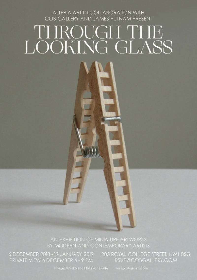 Image of a ladder made from wooden clothes peg, for an exhibition called Through the looking glass